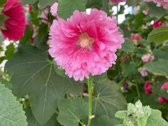 -华南国家植物园-售票处