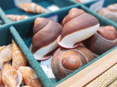 -摩登百货(岗顶店)