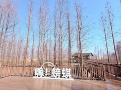 -双山岛
