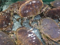 避风塘面包蟹-渔傅·蓝海岸霞浦海鲜(正祥店)