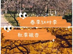 -山东师范大学(千佛山校区)
