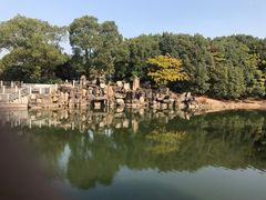 -白马涧龙池景区