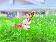 -春晖园度假酒店温泉