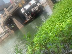 -太湖龙之梦