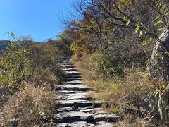 -阳台山自然风景区