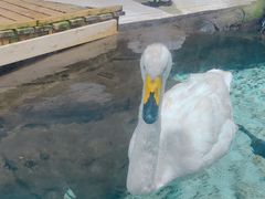 -海合安青岛极地海洋公园
