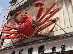 -蟹道乐(道顿堀本店)