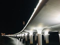 -演武大桥观景平台