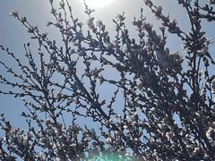 -水西公园