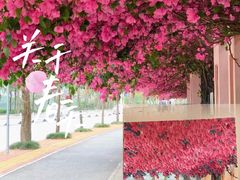 -大蜀山国家森林公园