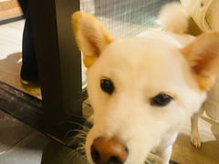 -阿露佳·舌尖上的安吉菜