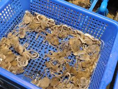 -渔傅·霞浦滩涂海鲜(建平店)