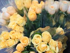 -循礼门鲜花花市(武汉循礼门店)