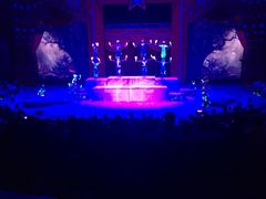 -珠海横琴长隆《卡卡虎奇遇记》