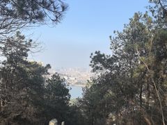 -青龙山国家森林公园