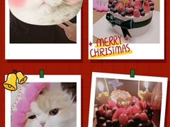 -EnergyCake蛋糕理想国