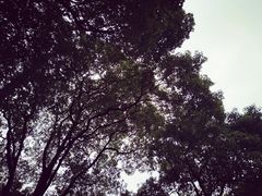 -湖南生物机电职业技术学院(东湖校区)