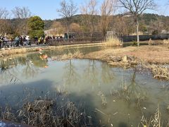 -苏州上方山国家森林公园