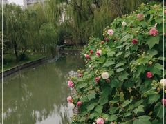 -中央公园(苏州工业园区)