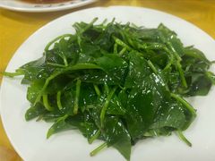 -荣生萝卜汤饭店