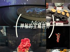 -湖南省地质博物馆