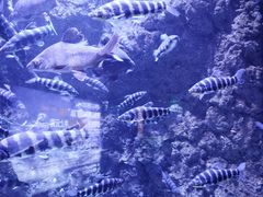 -成都浩海立方海洋公园