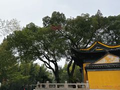 -虞山风景区