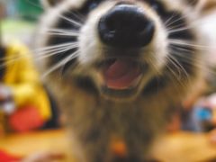 -藦茜花园宠物主题亲子互动体验馆(国顺东路店)