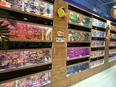 -龟与熊猫宠物公园(南坪店)