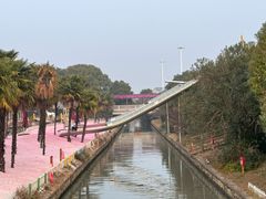 -苏州太湖西山岛开心农场