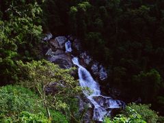 -海南热带雨林国家公园吊罗山景区