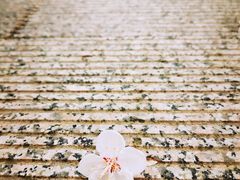 -慕田峪长城