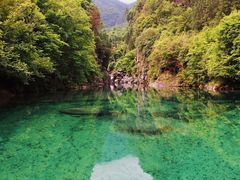 -石台牯牛降景区