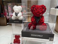 -ROSEONLY诺誓(磐基中心店)