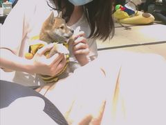 -逗柴咖啡屋·狗咖猫咖宠物桌游