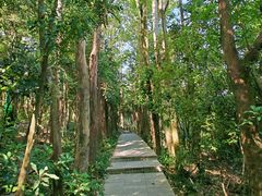 -小南山公园