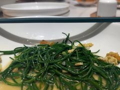 -宴遇天山