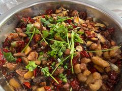 -食神又名厕所兔