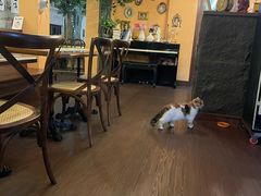 -猫岛主趣味餐厅(鼓浪屿店)