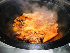 -挂雪铁锅炖大鹅
