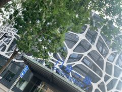 -首都医科大学附属北京天坛医院