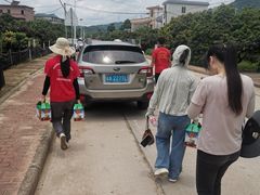 -从化深英荔枝黄皮龙眼采摘园