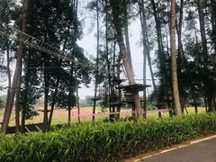 -保利石象湖景区