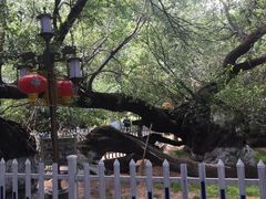 -宗角禄康公园
