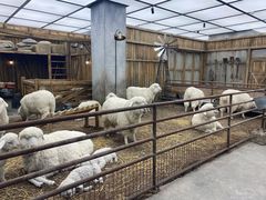 -OUR Bakery(SKP-S店)