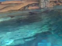 -波塞冬旅游度假区