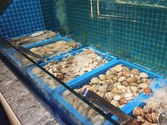 -曼格活海鲜·牛排自助(光明蓝鲸店)