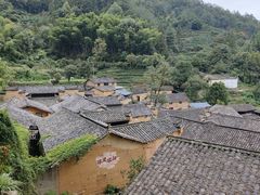 -杨家堂村