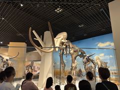 -国家自然博物馆