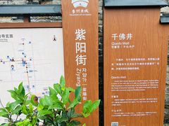 -紫阳古街